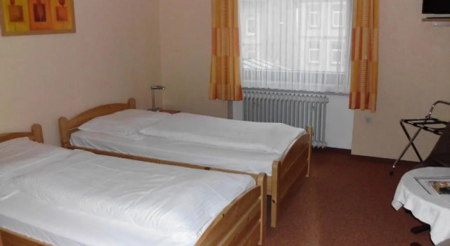 Двухместный номер Standard Hotel-Restaurant Zum Schwalbennest