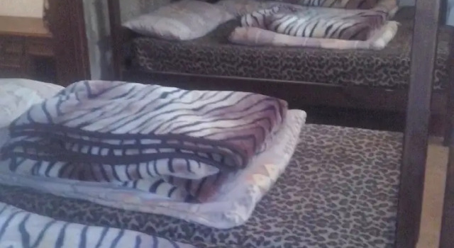 Кровать в общем номере Tiger House Guest House