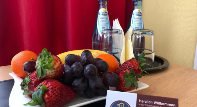 Одноместный номер Comfort Thermen Hotel Pension Villa Holstein
