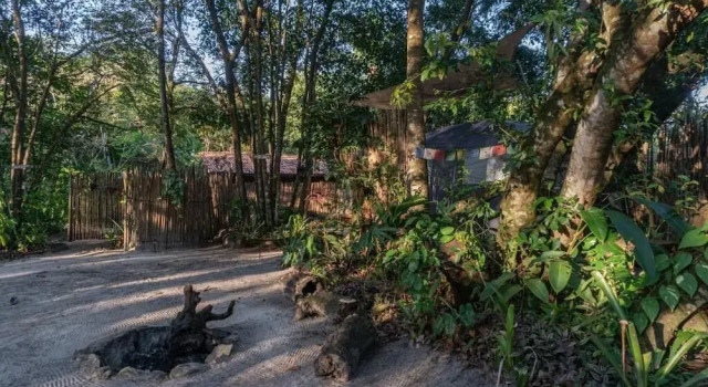 Тент с видом на сад Vila Coco Dendê - Praia de Algodões