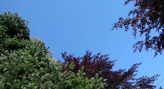 Casa da Lena, Prenota Hotel Santa Cruz Arcipelago di Madeira