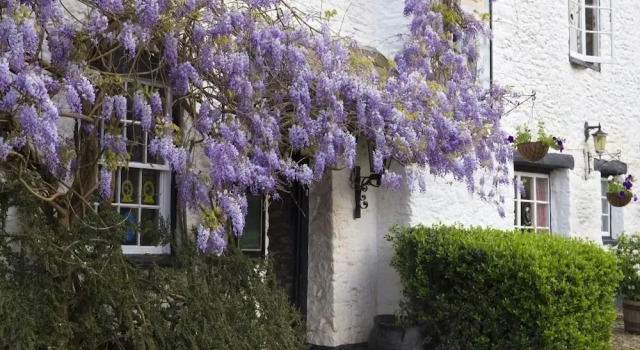 Old Church House Inn