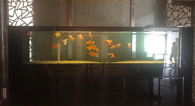 Shangyou Hotel, Book Hotel Baoding Hebei