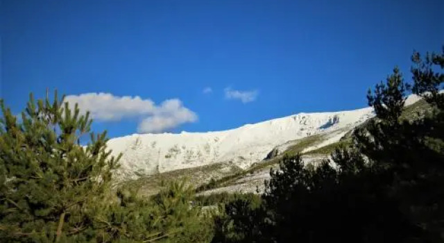 Casa Orgaz