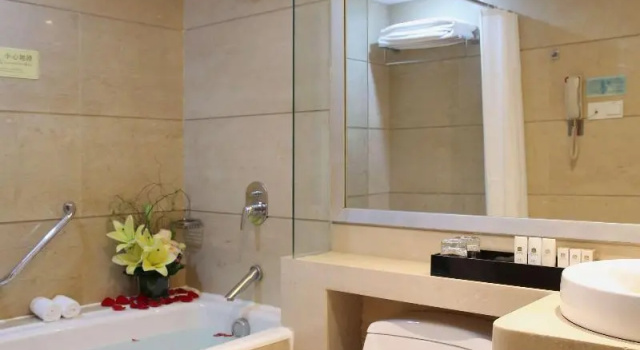 Двухместный номер Standard Felicity Hotel Shenzhen