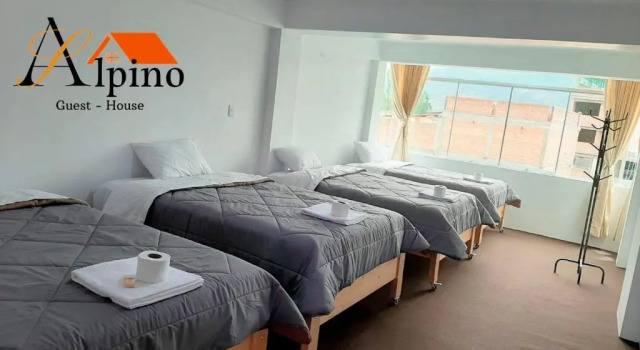 Кровать в общем номере (женский номер) Alpino Guest House