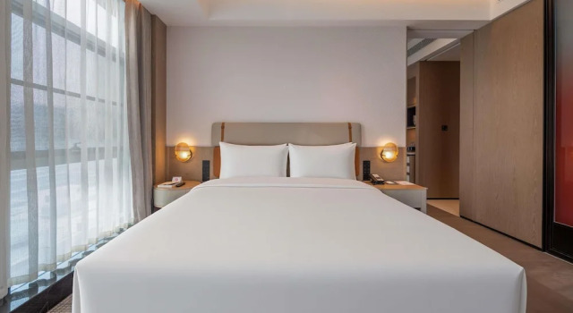 Люкс Deluxe Novotel Zibo New Hongcheng