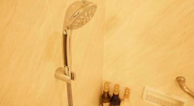Одноместный номер Standard Rembrandt Hotel Ebina
