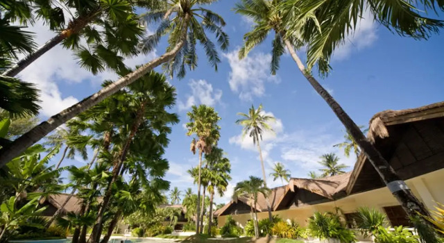 Jednoosobowy suite Pulchra - Philippines