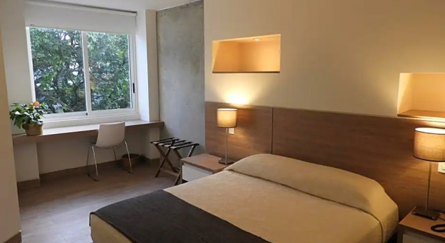 Suite junior doble Park V