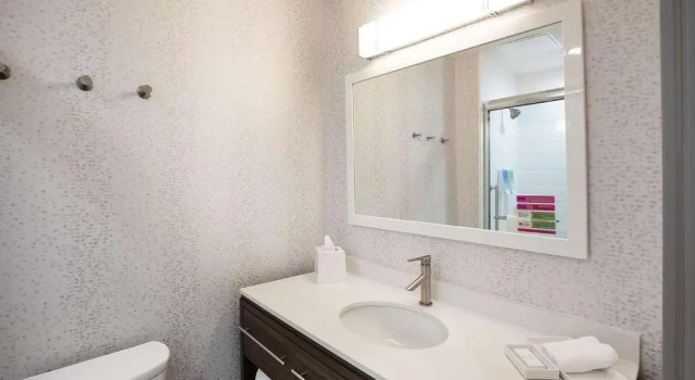 Двухместный люкс c 1 комнатой Home2 Suites by Hilton Houston Bush Intercontinental Airport Iah Beltway 8
