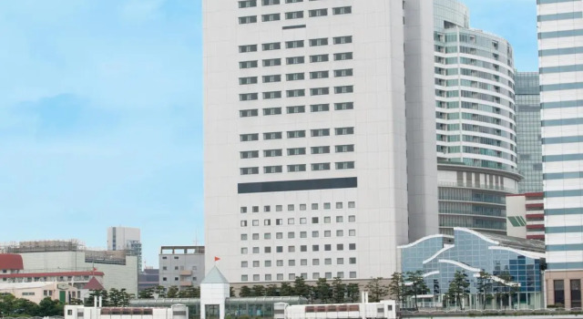 Номер Standard Bayside Hotel Azur Takeshiba
