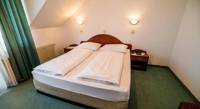 Двухместный номер Standard Guesthouse Leski Dvor