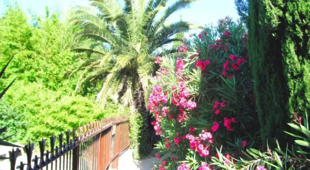 Les Mazets du Soleil