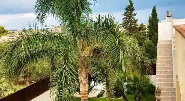 RESIDENCE PARADISO Il sogno dei KITESURF, Book Villa Hotels in Sicily with Parking, Parking