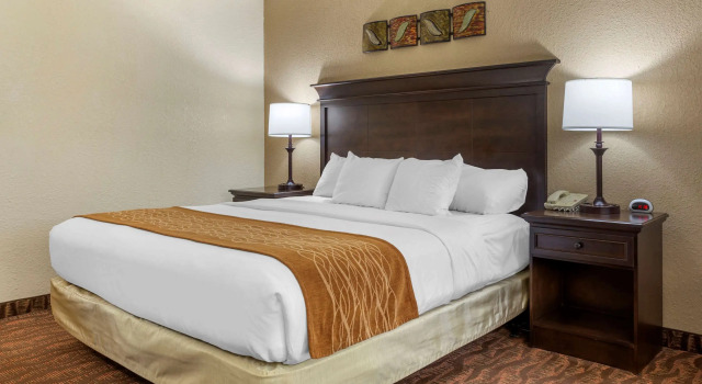 Двухместный номер Standard Comfort Inn at Thousand Hills