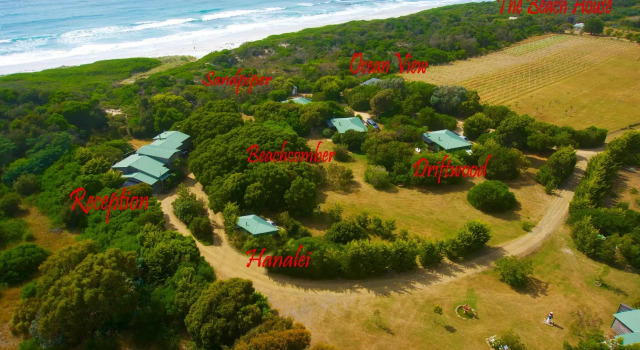 Номер Standard Sandpiper Ocean Cottages