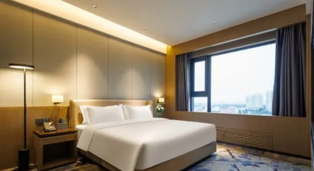 Люкс Business Magpie Hotel