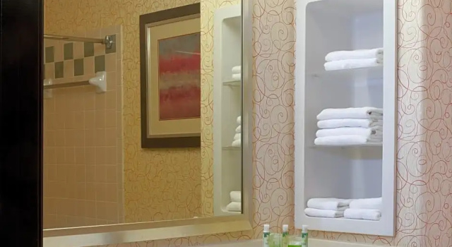 Двухместный номер Standard Holiday Inn Express Hotel and Suites Brownsville by IHG