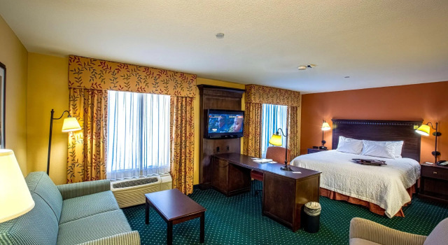 Двухместный люкс Hampton Inn & Suites Sacramento-Elk Grove Laguna I-5