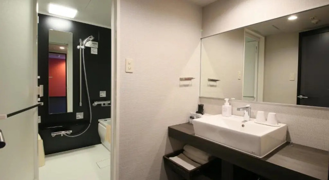 Двухместный номер Comfort Hotel Regina Kawaguchiko