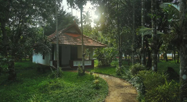 Полулюкс Palmgrove Lake Resort