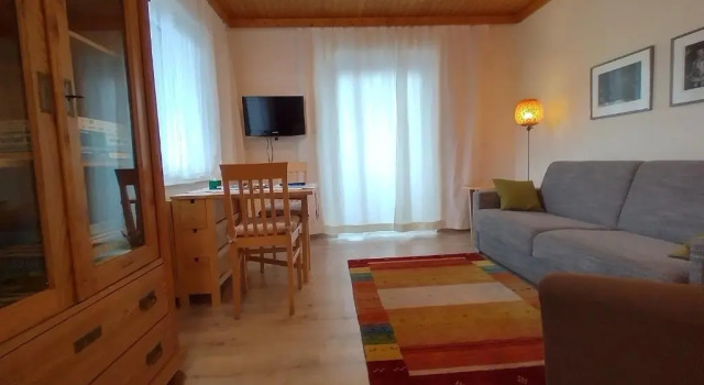 Апартаменты c 1 комнатой с балконом и с видом на озеро Seeblick-Appartements Ossiach