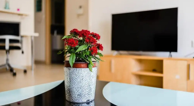 Kalamata s Spacious Getaway-taygetos Amazing View