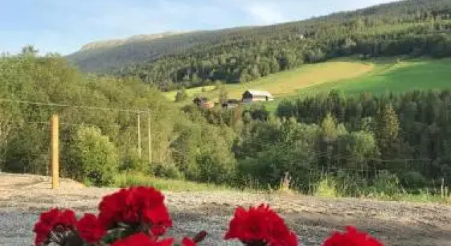 Heidal Hotel, Book Hotel Vinstra Gudbrands valley
