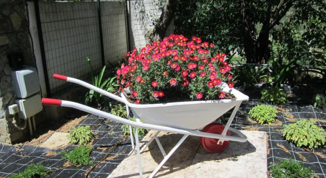 Da Nello, Buchen Sie Hotel Torrazza Blumenriviera