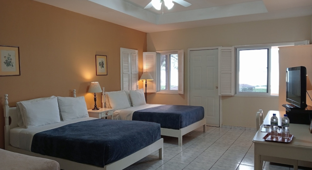 Habitación Estándar Honduyate