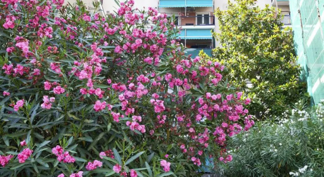 Flat 55M² 1 Bedroom 1 Bathroom - Genoa