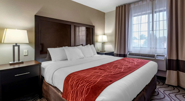 Люкс Business Comfort Inn & Suites Fruita - Grand Junction