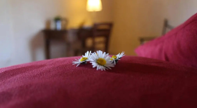 Апартаменты с 2 комнатами Agriturismo Casavecchia