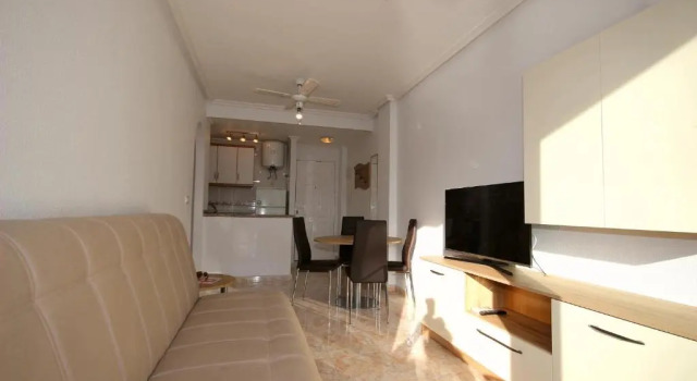 Apartment in La Mata Eneas 6