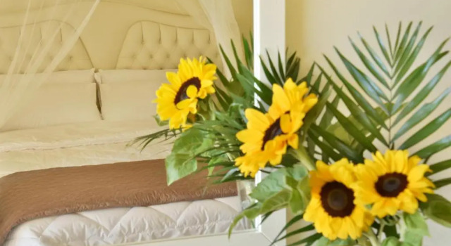 Полулюкс Ionion Star Hotel