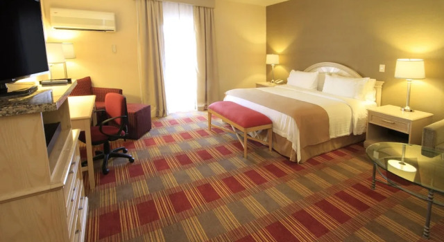 Номер Premium Holiday Inn Monclova by IHG