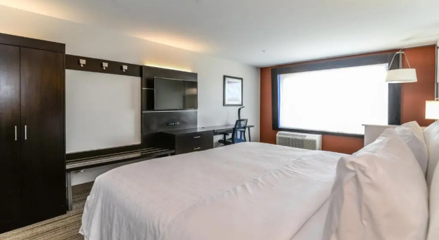 Люкс с видом на улицу Holiday Inn Express & Suites Allen Park by IHG