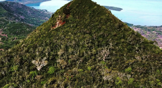 Tenexia - Morne Brabant Studio, Prenota Hotel La Gaulette 