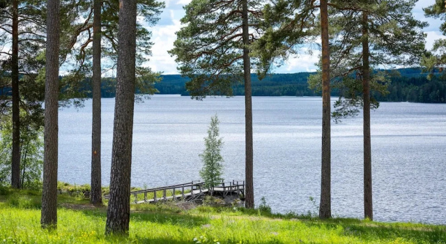 Апартаменты Rämsbyns fritidsby