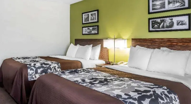 Шестиместный номер Standard Sleep Inn & Suites Dothan North