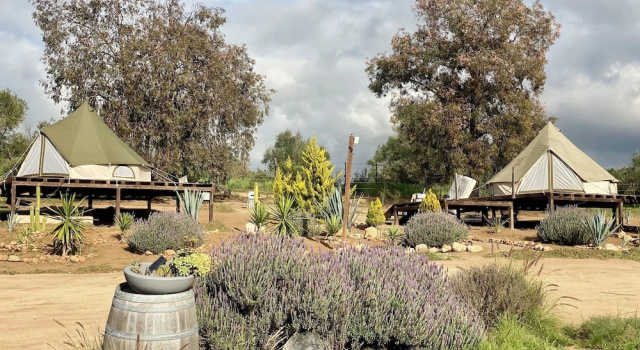 Cosmo Glamping, Rezervasyon Kamp Alanı Baja California kahvaltılı oteller, Kahvaltı