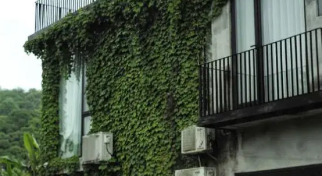 As an outsider, Rezerwuj Hotel Wuyuan Jiangxi