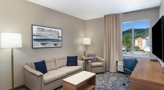Люкс c 1 комнатой Candlewood Suites - Asheville Downtown by IHG