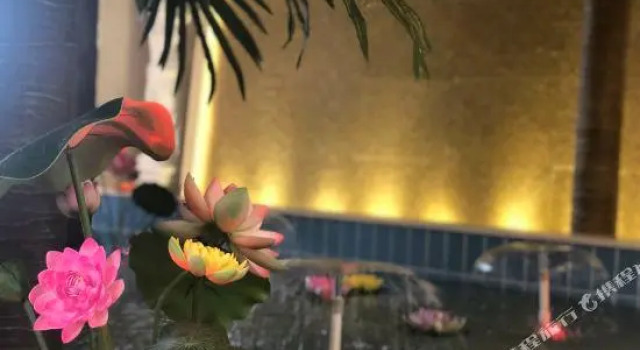 Двухместный люкс Deluxe Vienna International Hotel (Jiujiang International Automobile City, Development Zone Management Comm