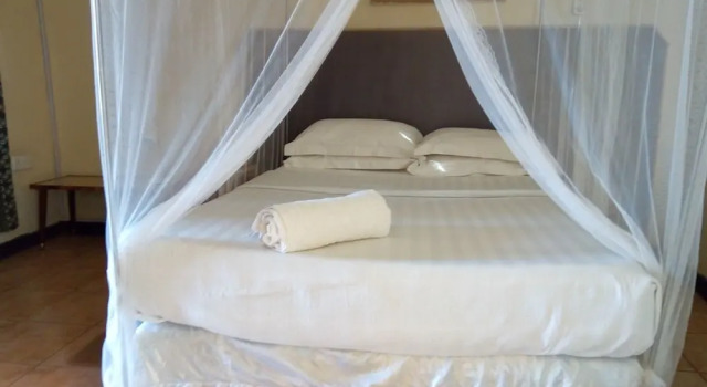 Zambezi Way Lodge
