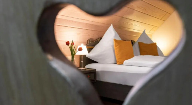 Двухместный номер Standard Hotel Sonnenstube Hagnau