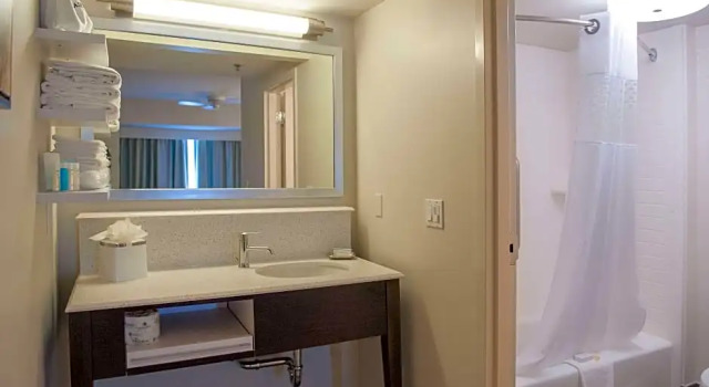 Четырёхместный люкс c 1 комнатой Hampton Inn & Suites New Orleans/Elmwood