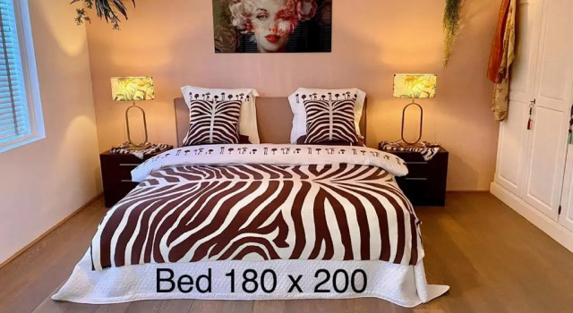 Коттедж Vakantiehuis De Zeeparel