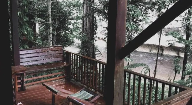 Коттедж Дуплекс Our Jungle House